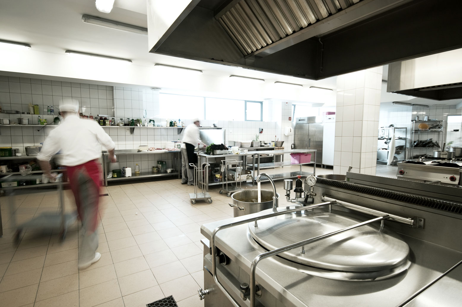 Commercial Pest Control Service for Restaurants in Michigan